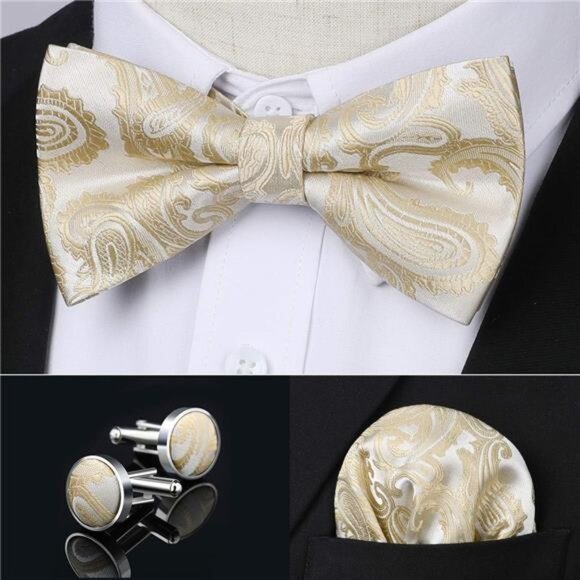 Bow Ties for Men Pretied Bow Tie Set Paisley Classic Bowties and Pocket Square - Picture 3 of 7